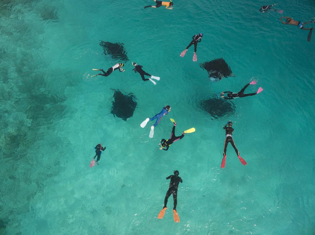 Royal Island Resort Maldives Dharavandhoo Exterior photo Divers at the Great Barrier Reef