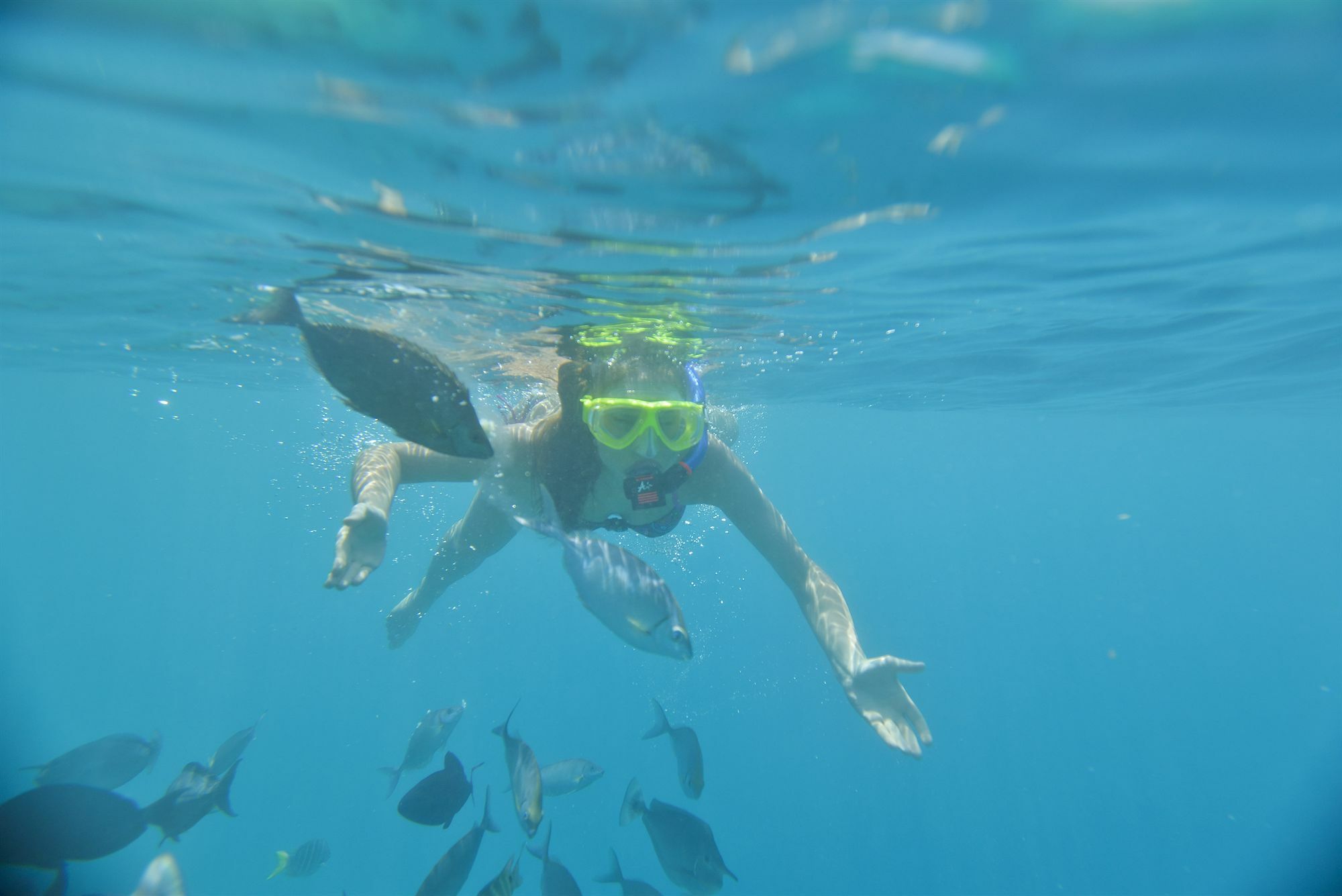 Royal Island Resort Maldives Dharavandhoo Exterior photo Snorkeling in the Red Sea