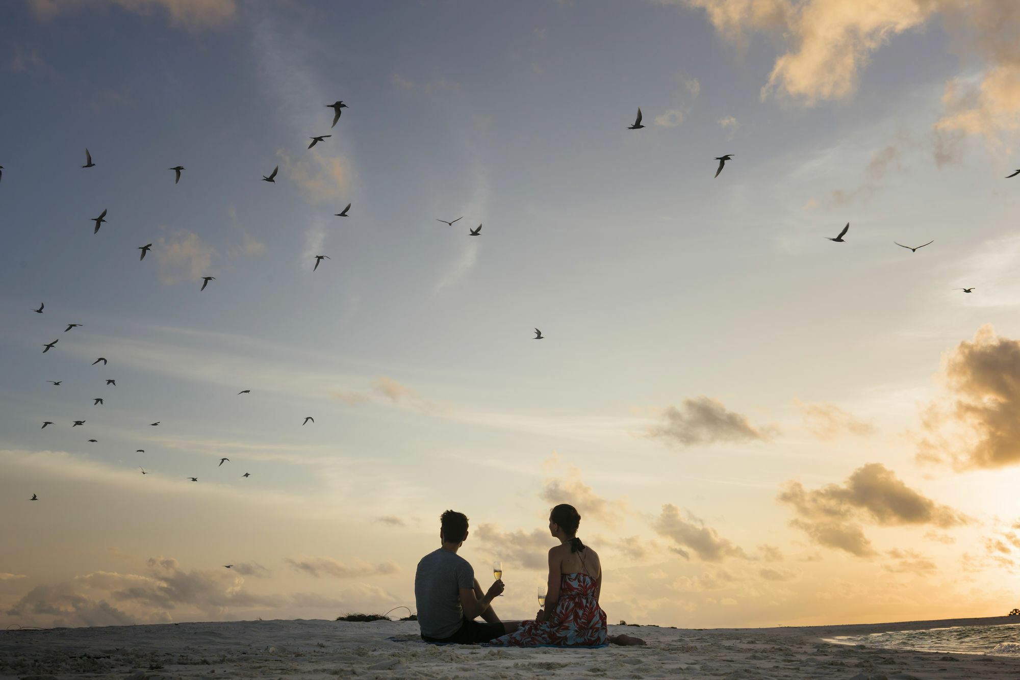 Royal Island Resort Maldives Dharavandhoo Exterior photo The film's ending was highly praised by critics.